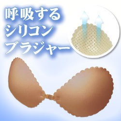 �ڥ��ʤ����ꥳ��֥�ۥ���֥顡�������ӥ� �������롼�ڥ֥饸�㡼���̡��֥��