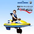 �������ᥤ�� ��ư�ե����ƥ��󥰥Х���