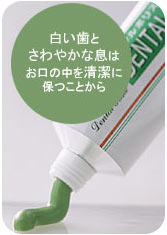 歯周病・虫歯・歯槽膿漏・口臭予防に「デンタルポリスＤＸ　3本セット（砂時計付）」