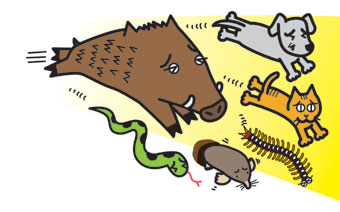 天然強力忌避液 にげまんねん 2本セット 害獣・害虫が逃げていきます！