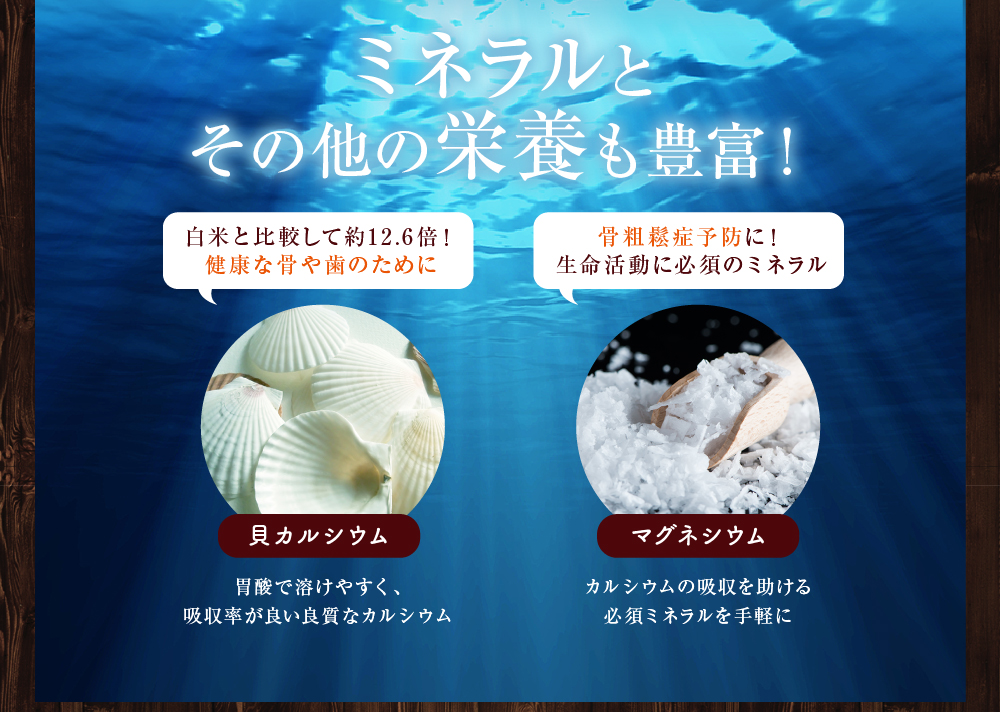 ミネラルとその他の栄養も豊富! 貝カルシウム マグネシウム